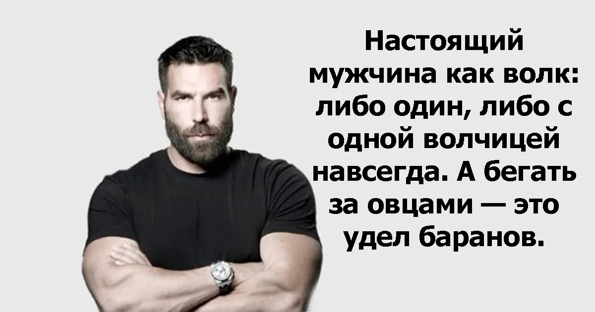 Картинка взята из Интернета