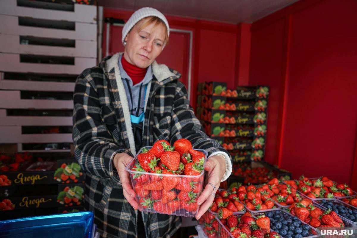     Большую часть ранней садовой земляники привозят из Краснодарского края и других южных регионов