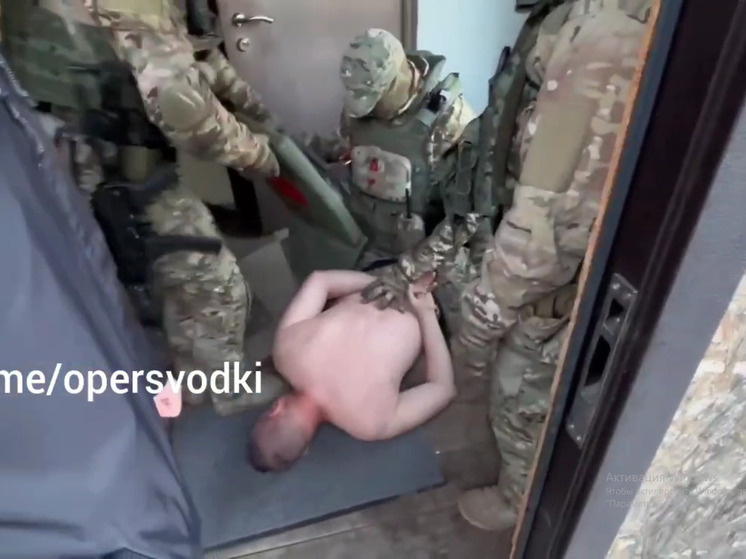     фото: скриншот видео канала "Оперативные сводки"