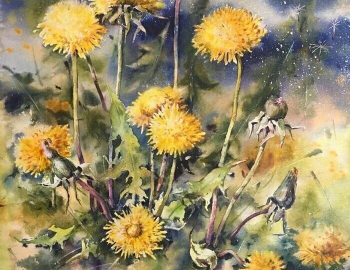 Такие разные одуванчики 🏵️