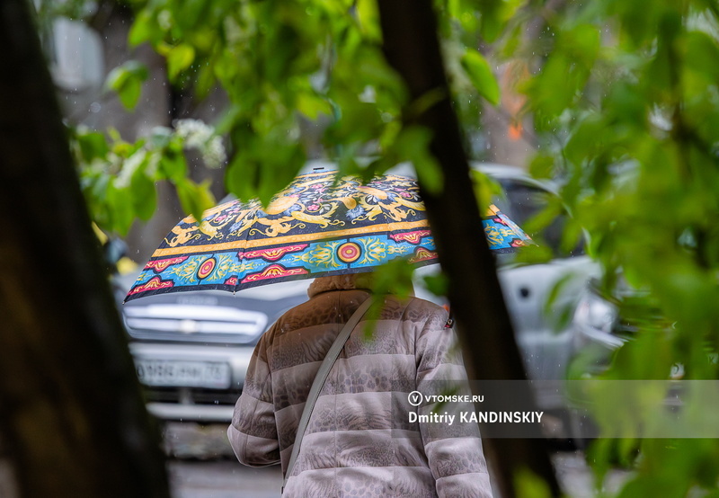    Фото: Дмитрий Кандинский / vtomske.ru