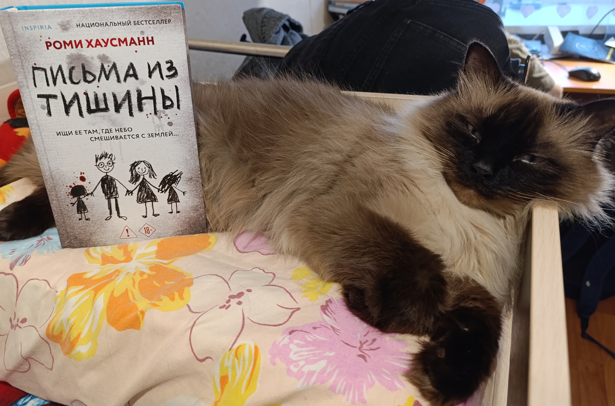 Новый роман Роми Хаусманн, как и три с половиной года назад, представляет Джессика. Те же лица (мордочки), на том же месте, в тот же час, что называется😊😊😊