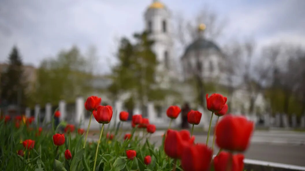    22 мая 2026 года по православному церковному календарю отмечают день Николая Чудотворца. Фото Царьграда
