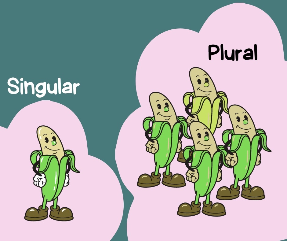 #English_stylistics #singular_and_plural #единственное_и_множественное число