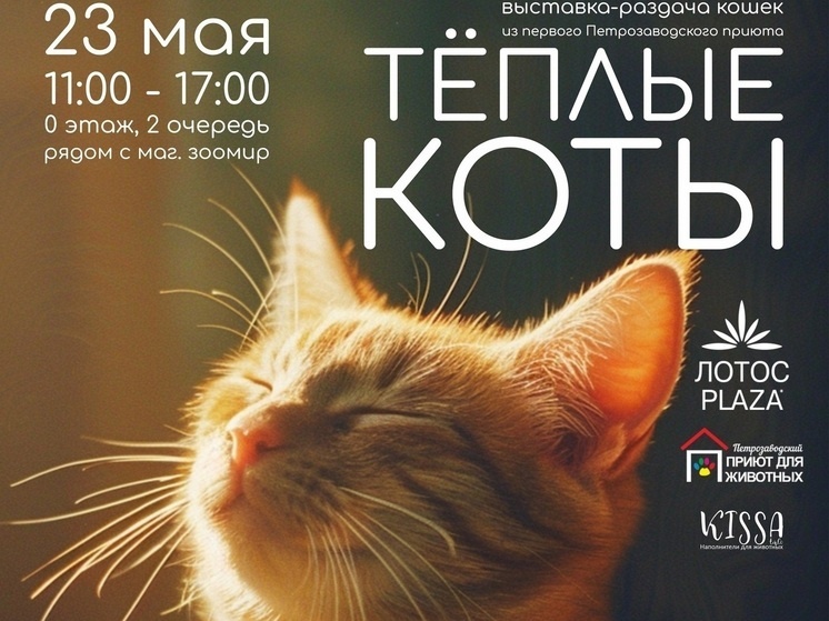     Фото: МК в Карелии