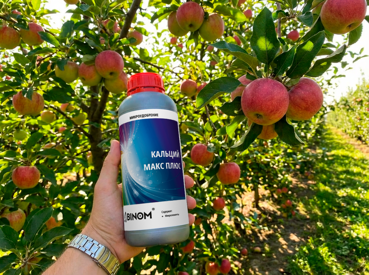 Кальций Макс Плюс, 1л