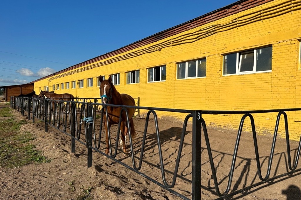    Фото © VK / «Виера», конно-спортивная тренировочная база