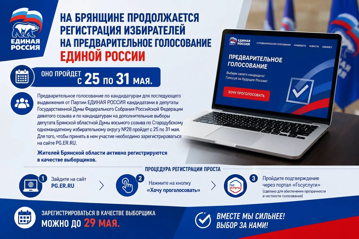 Единая Россия Брянская область 