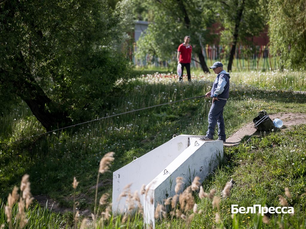     Фото: Павел Колядин