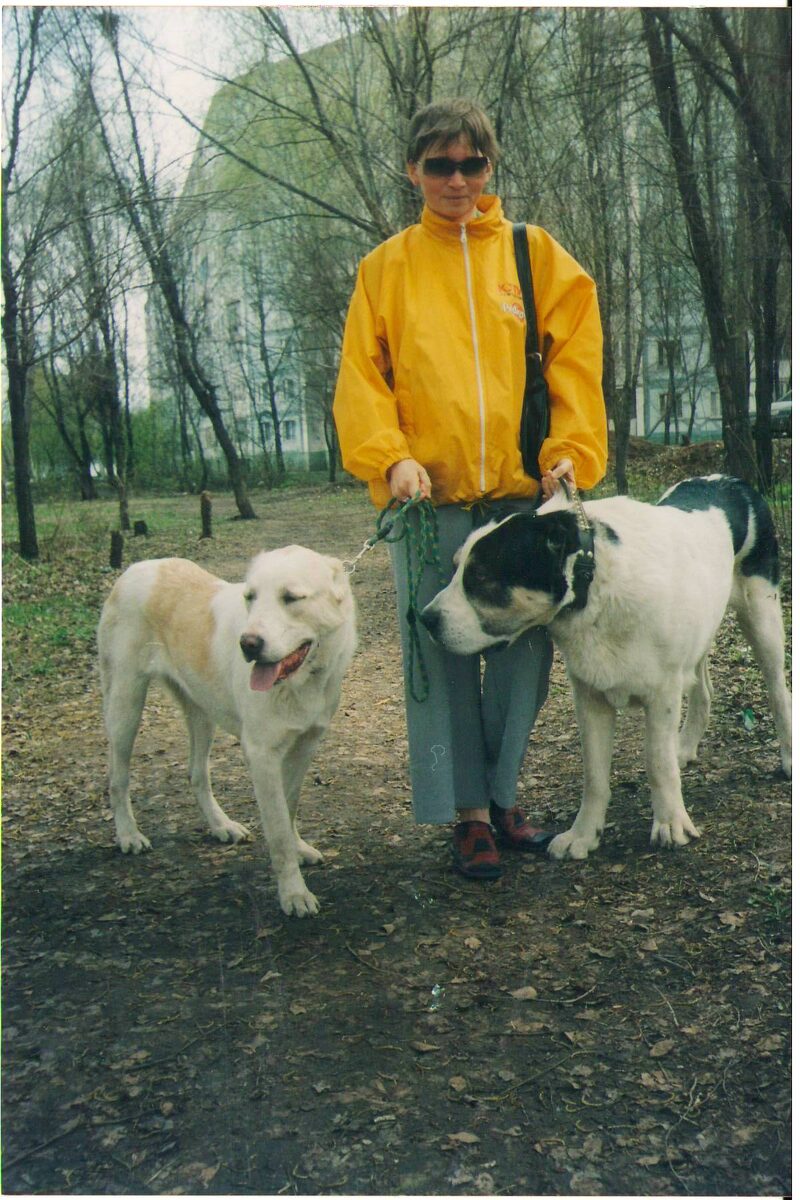Два щенка САО моего разведения, кобель и сука, однопометники. Кто из них кто,  видно сразу, хотя они еще даже не половозрелые.