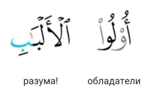 Тест на чтение словосочетания из аята 2:269