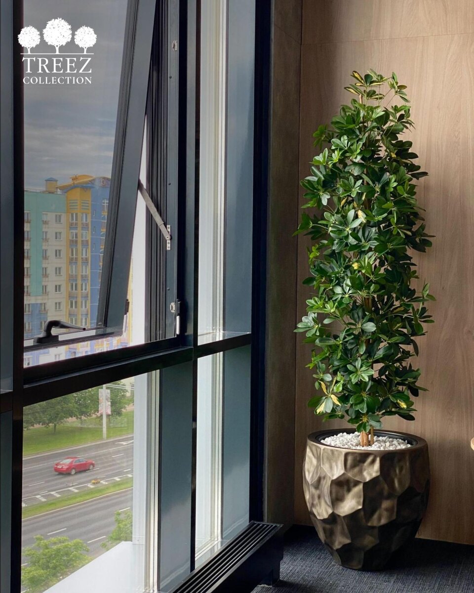 Кашпо и растения TREEZ Collection