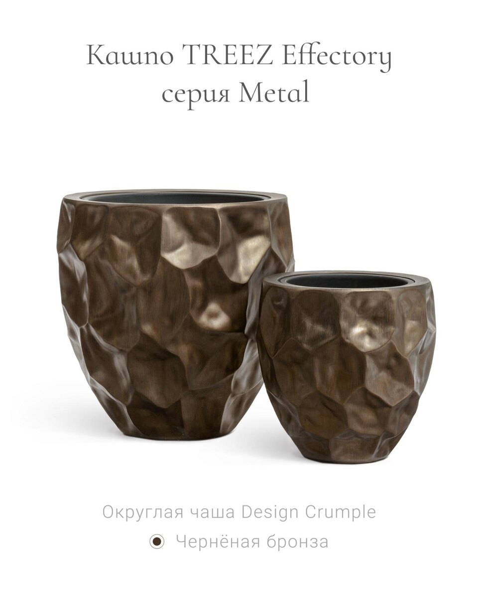 Кашпо и растения TREEZ Collection