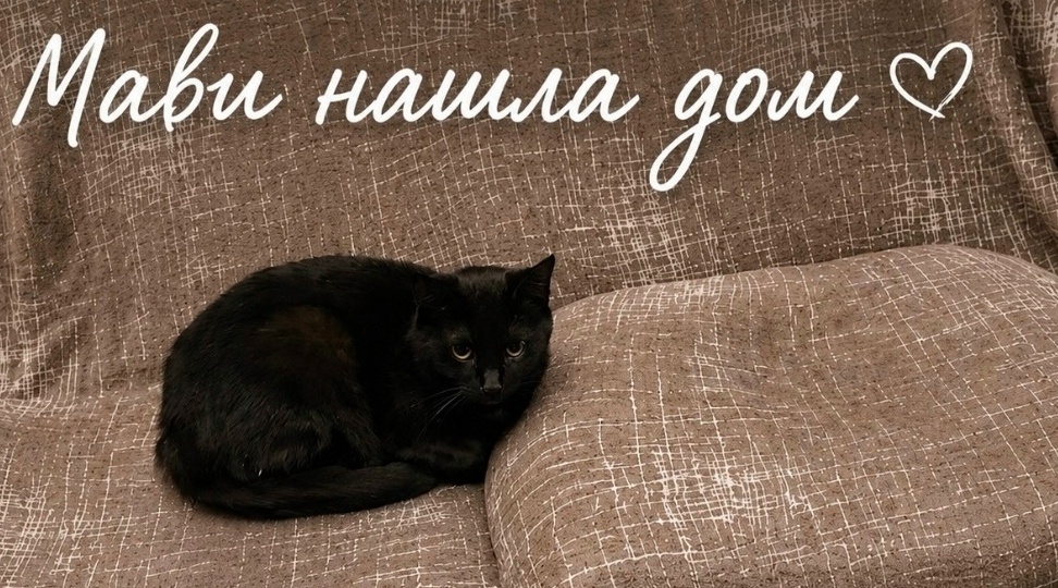 Она не просто живёт — она чувствует себя в безопасности и любви💞