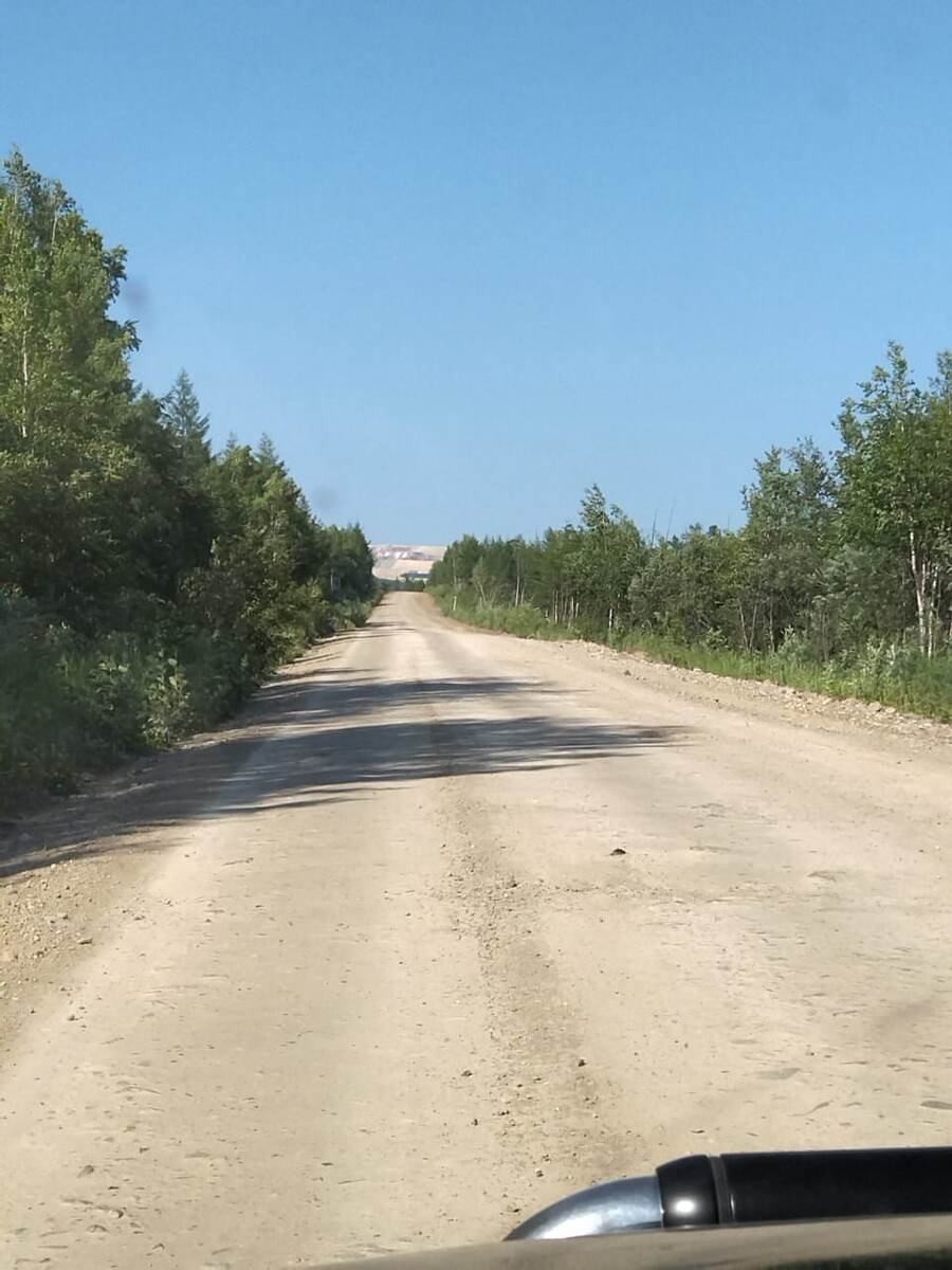 Фото прошлогоднее