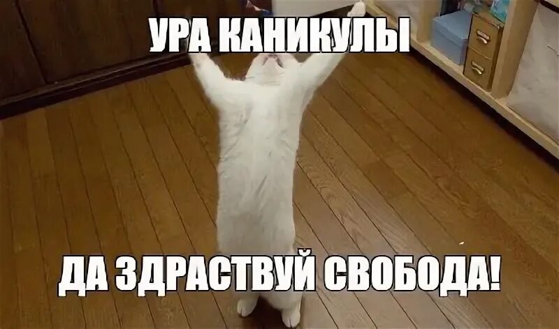 ДА>:33💥💥💥💥