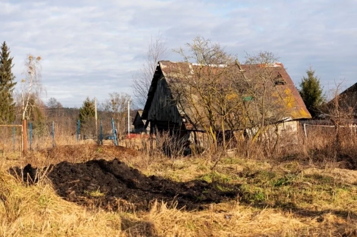    Трава у дома.