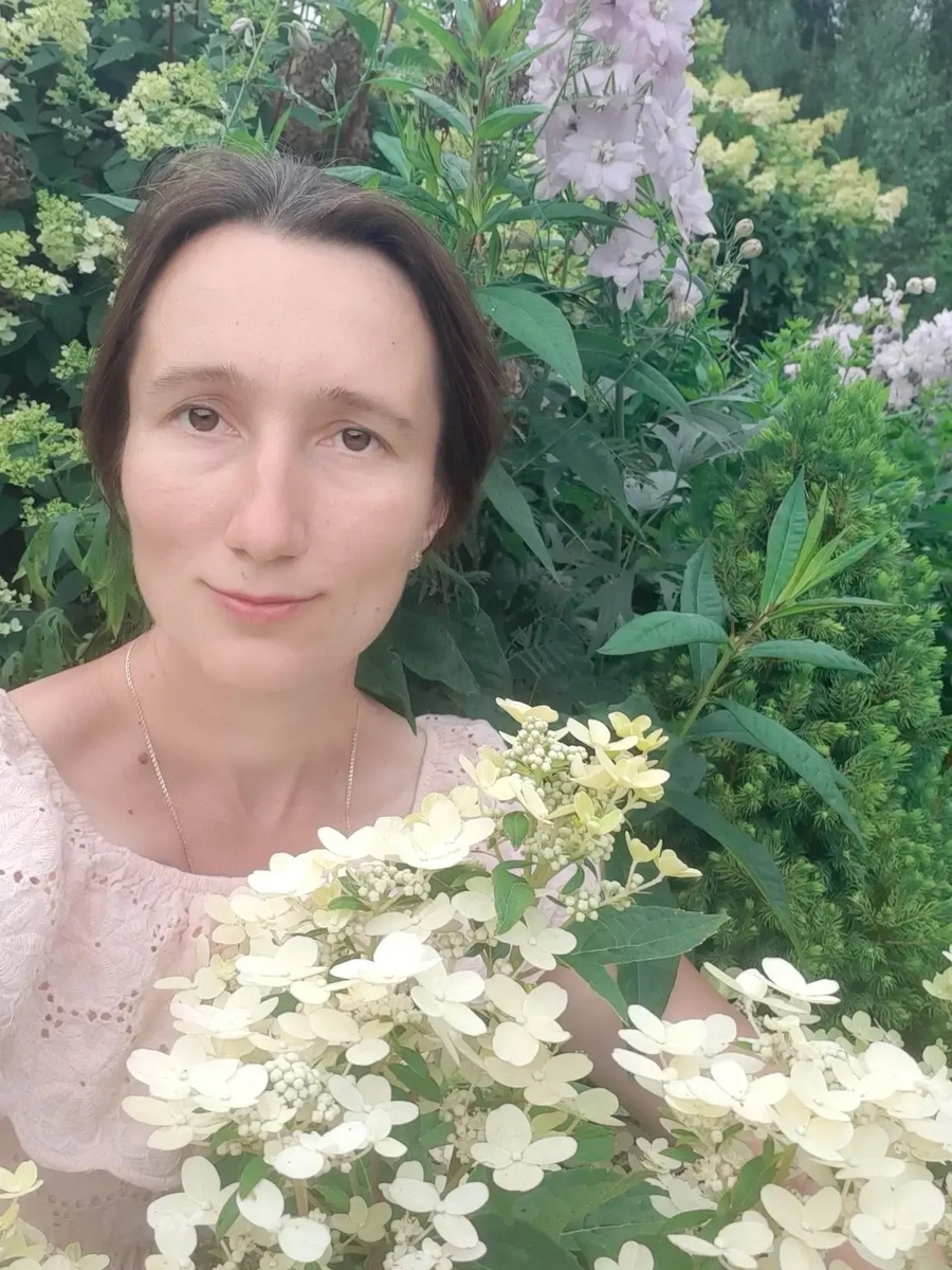 Коллекция гортензий Дарьи Зайцевой началась с сорта "Ванила Фрайз".  Фото предоставлено Дарьей Зайцевой