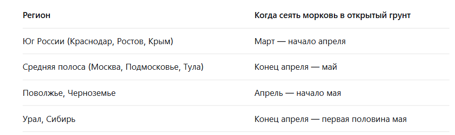 Лучшие сроки и благоприятные дни для посева моркови