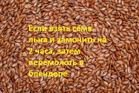 Семена льна замочила и перемолола в блендере