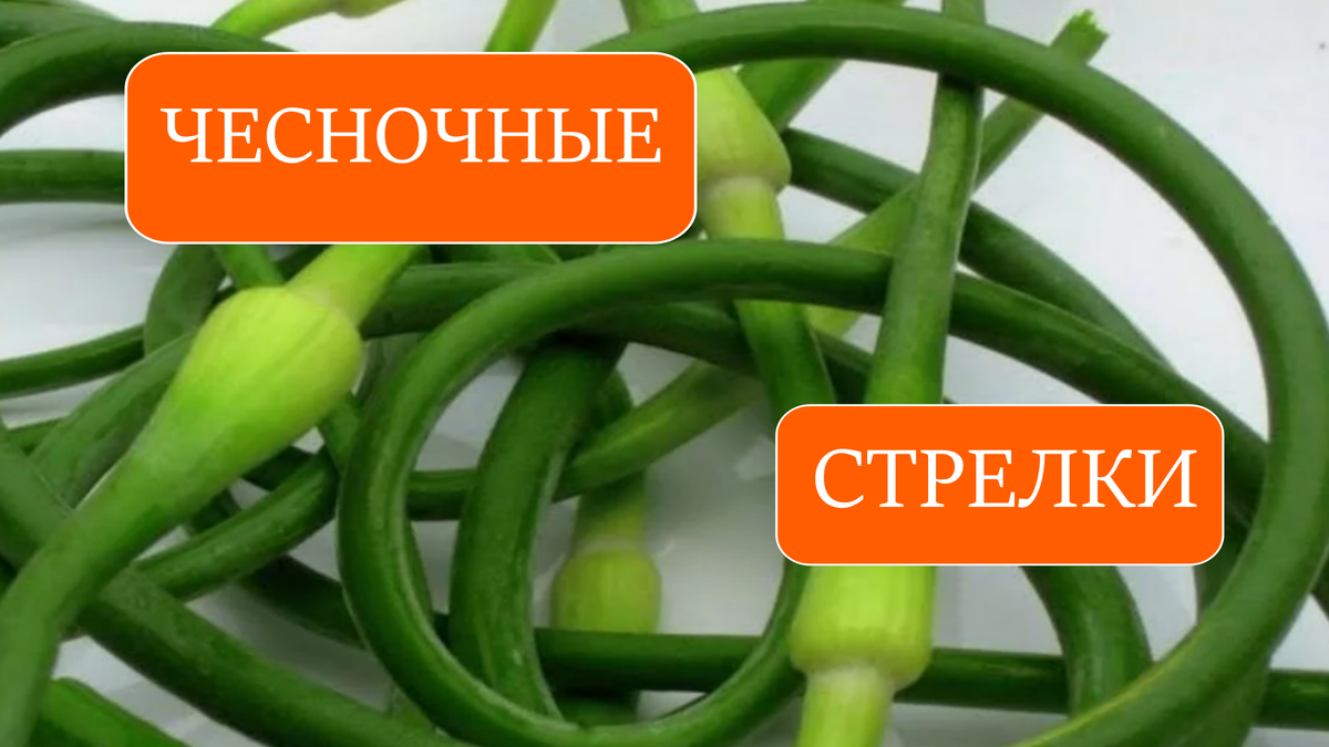 чеснок
