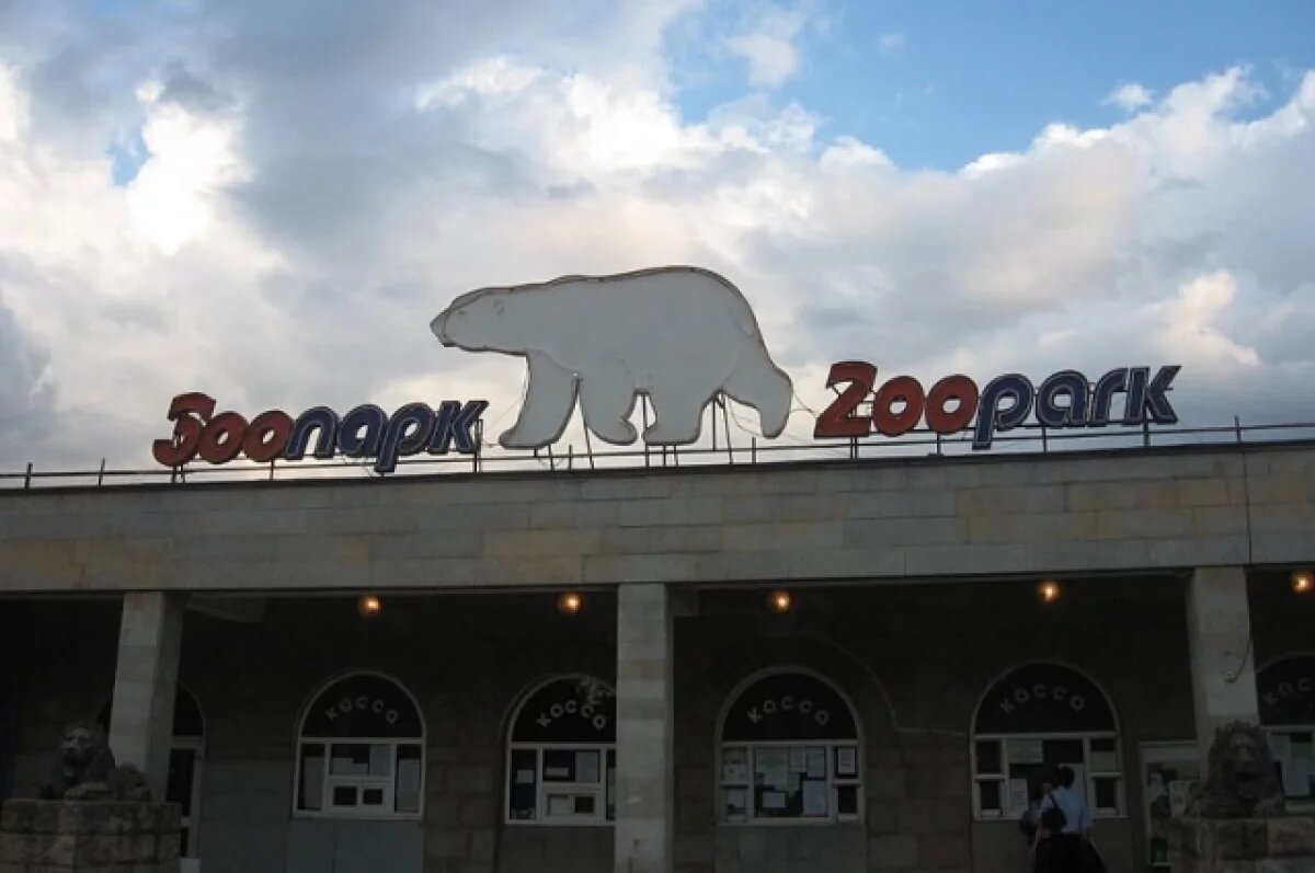    Ленинградский зоопарк помогает обустраивать вольеры для животных