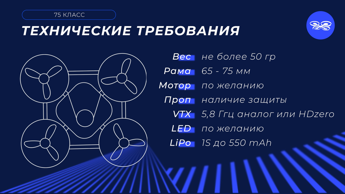 Фото взято с ВК страницы Федерации гонок дронов России