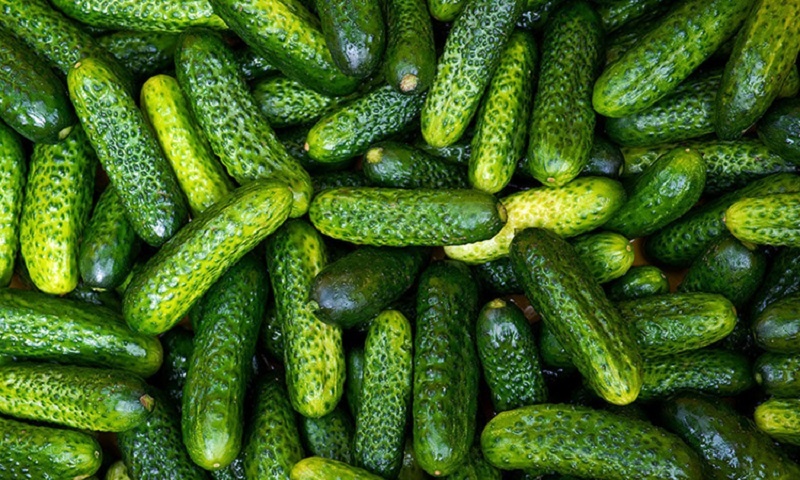 Хрустящий огуречный салат: универсальная закуска с необычным вкусом
