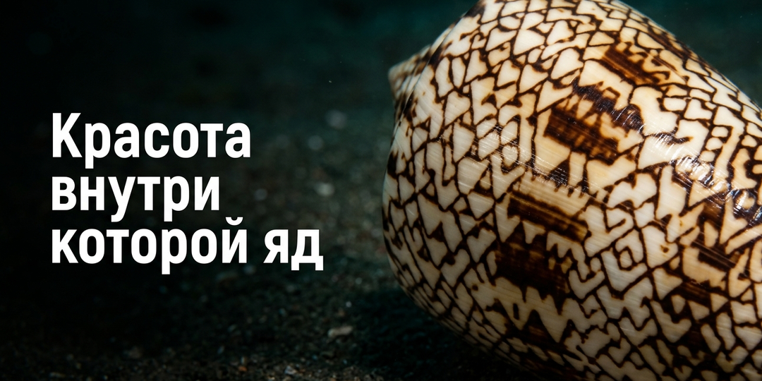 Фотогеничные животные, которых биологи советуют руками не трогать