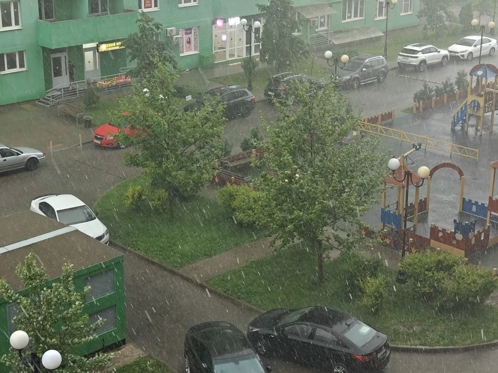    Фото: Юрий Серебренников/BFM Кубань