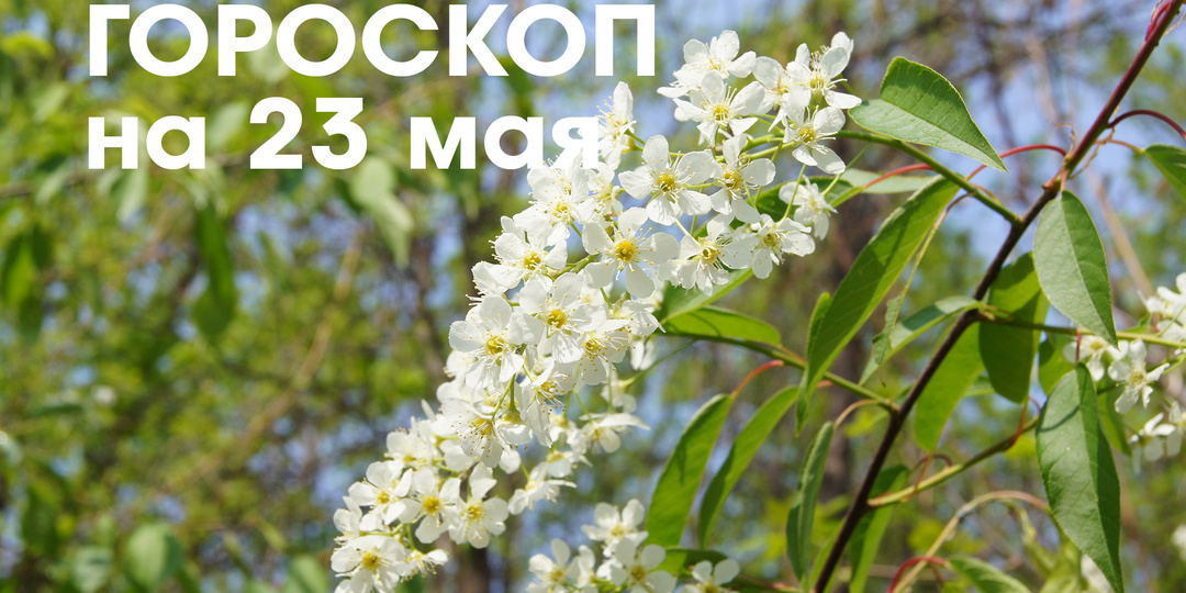 Гороскоп на 23 мая: растущая Луна в знаке Лев и Дева - идеальное время для путешествий - поездки на отдых или по работе будут приятными и продуктивными