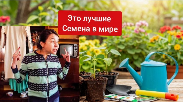 Утверждает чики пики !