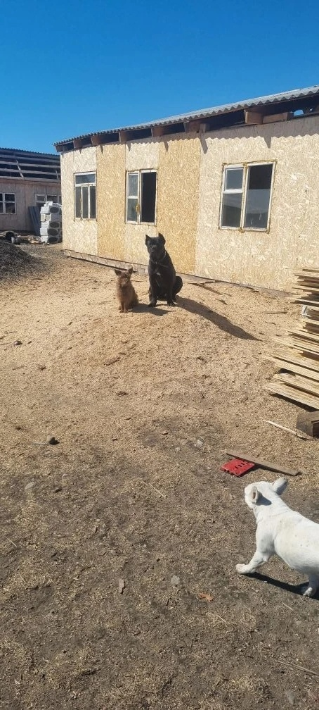 -2