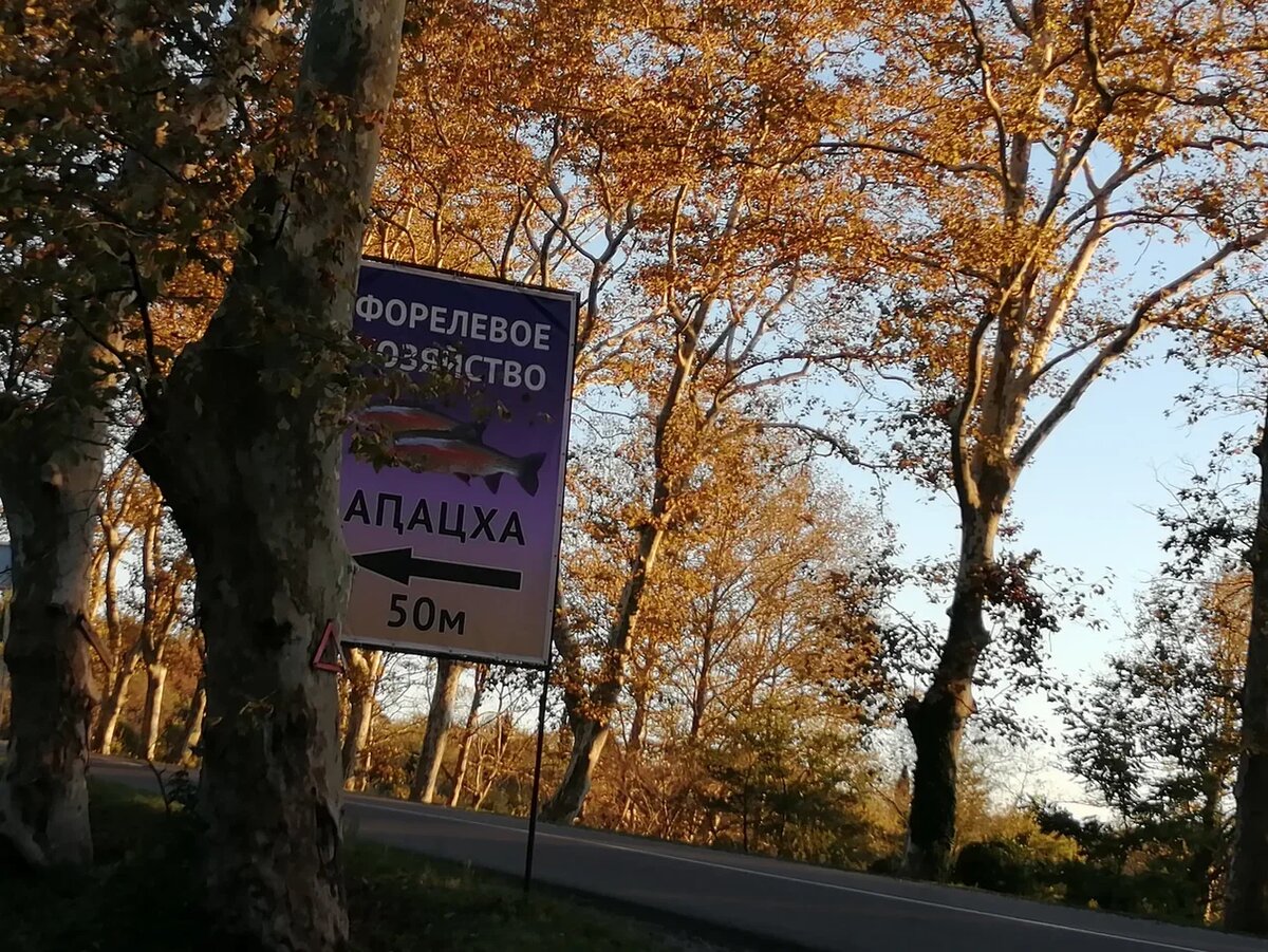 Указатель на форелевое хозяйство "Белая речка" на Сухумском шоссе. Фото автора