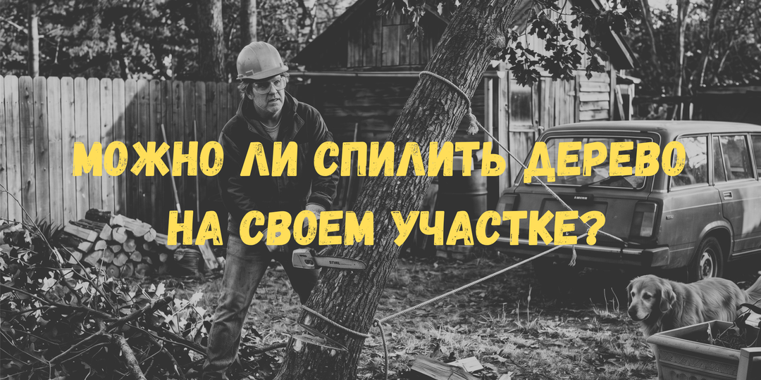 Спилить дерево на своем участке и не нарваться на штраф