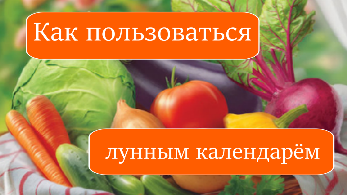 Как пользоваться лунным календарём