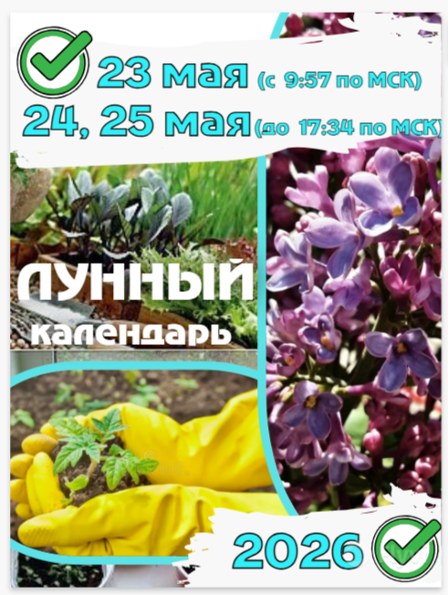 удачи в саду и на даче