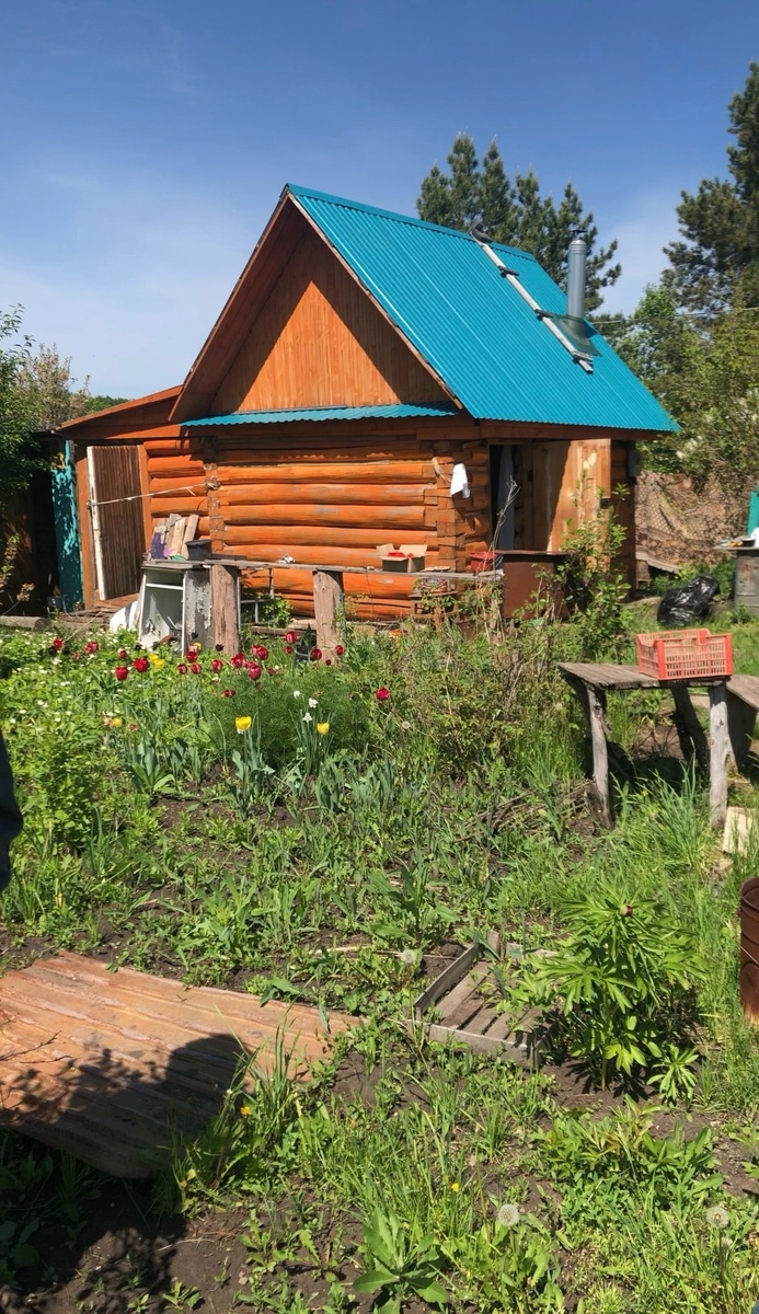 Небольшая баня с пристройкой заваленной внутри досками и мусором и много травы