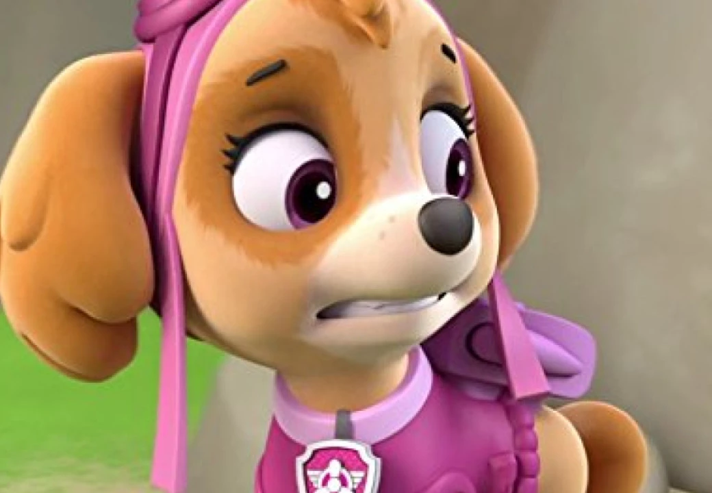 Кадр из мультсериала «Щенячий патруль» 2013 — ... | Студии производства: Nickelodeon Animation StudiosSpin Master Entertainment TV Ontario Guru Animation Studio Adrian 150 Tv