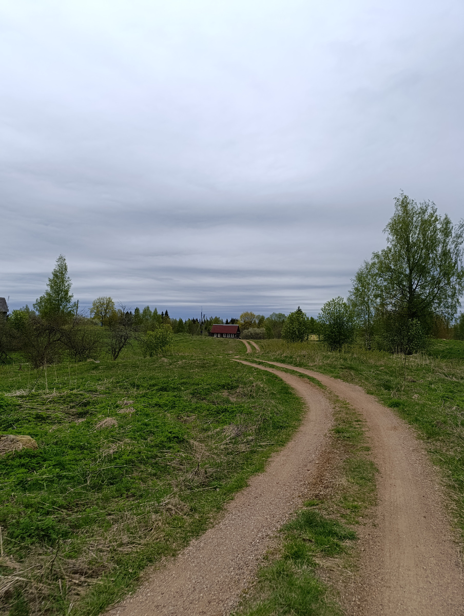 Живописная грунтовая дорога в районе деревни Рыжоха