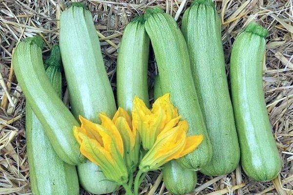 Фотография из открытого доступа от Белорусских друзей 