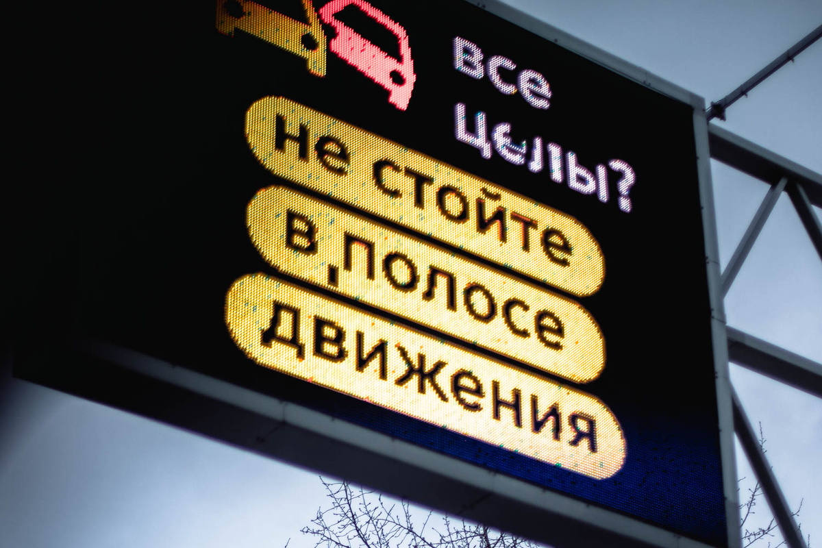    Фото: Общественная служба новостей