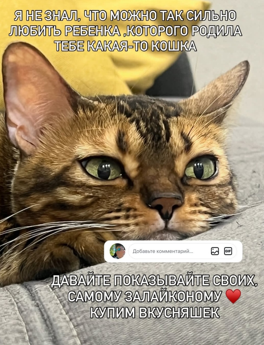 Нашла картинку) 