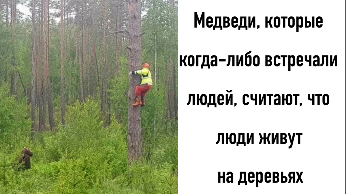 -6