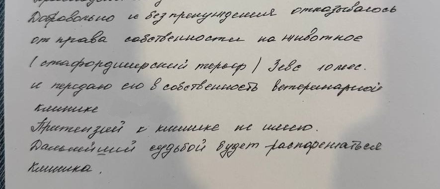 Письменный отказ хозяйки от права собственности на Оскара (Зевса).   Фото предоставлено собеседником.