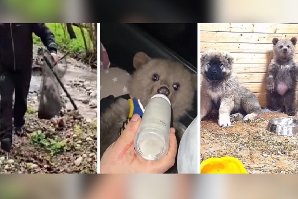    Осторожно: счастье Дыньки и Арбузика заразительно! Фото: «Земля прайда»