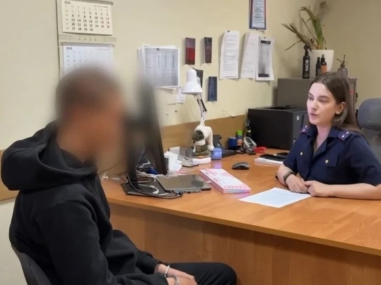     Фигурант нанес оппоненту не менее трех ударов кувалдой по голове. Фото: пресс-служба СК Петербурга