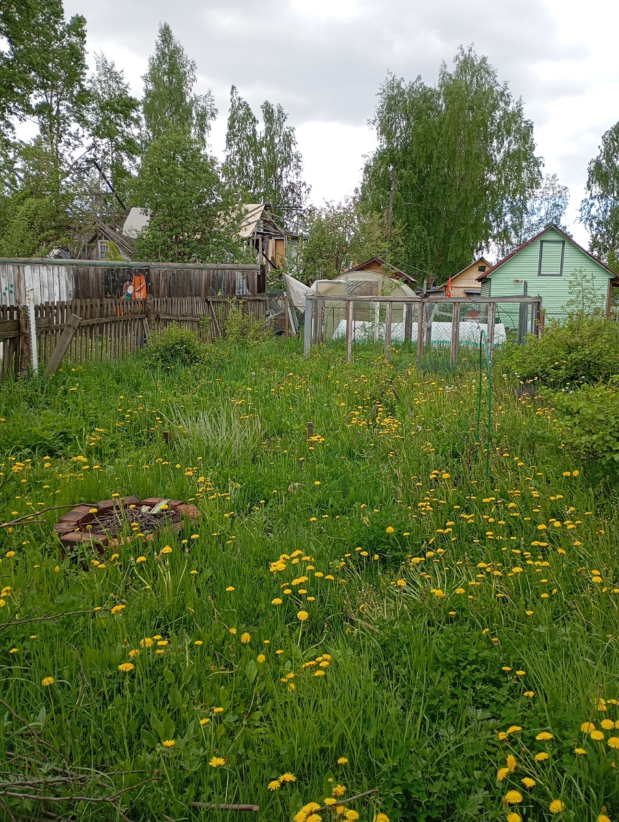 Фото сделано автором собственноручно