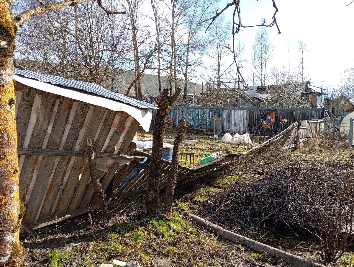Фото сделано автором лично