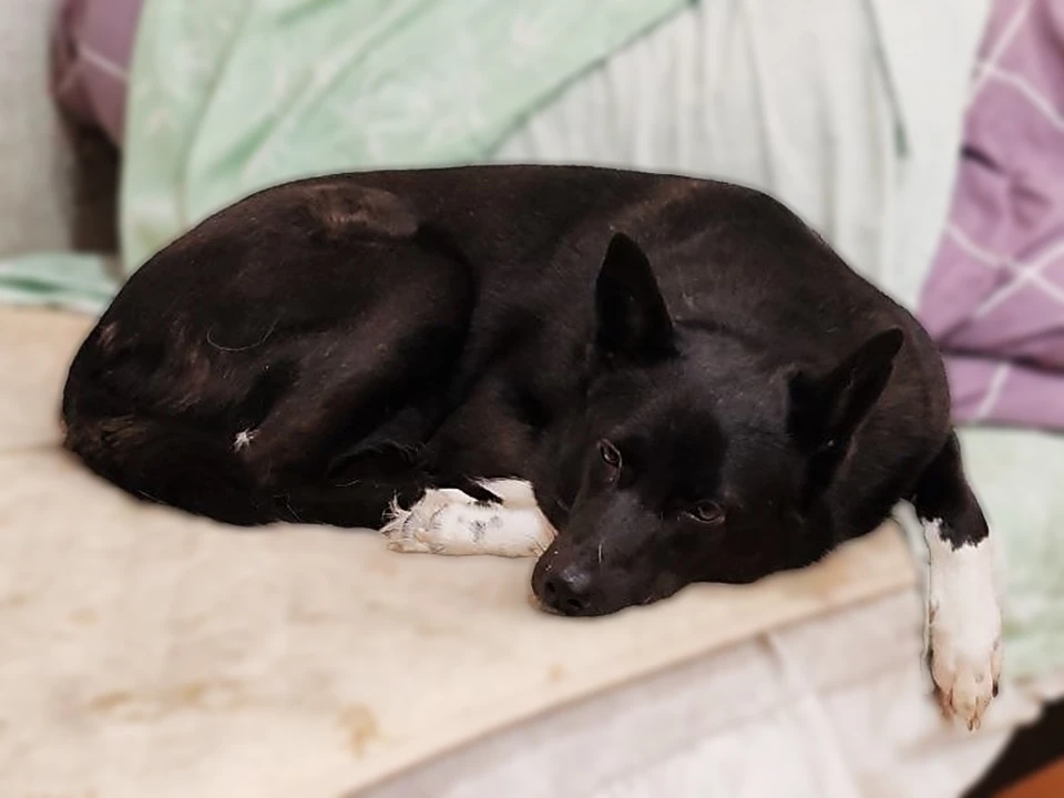 -2